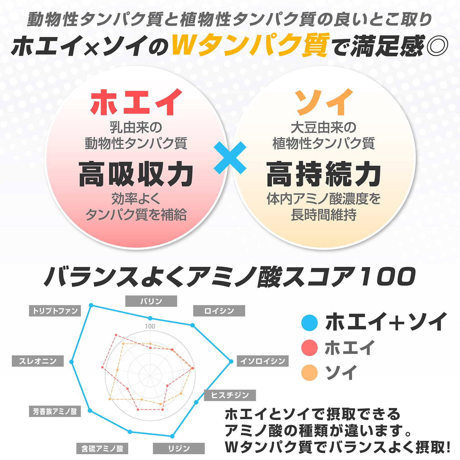 完全栄養プロテイン チョコレート風味 750g