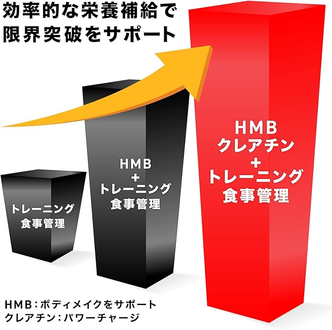 効率的な栄養補給でトレーニングをサポートする