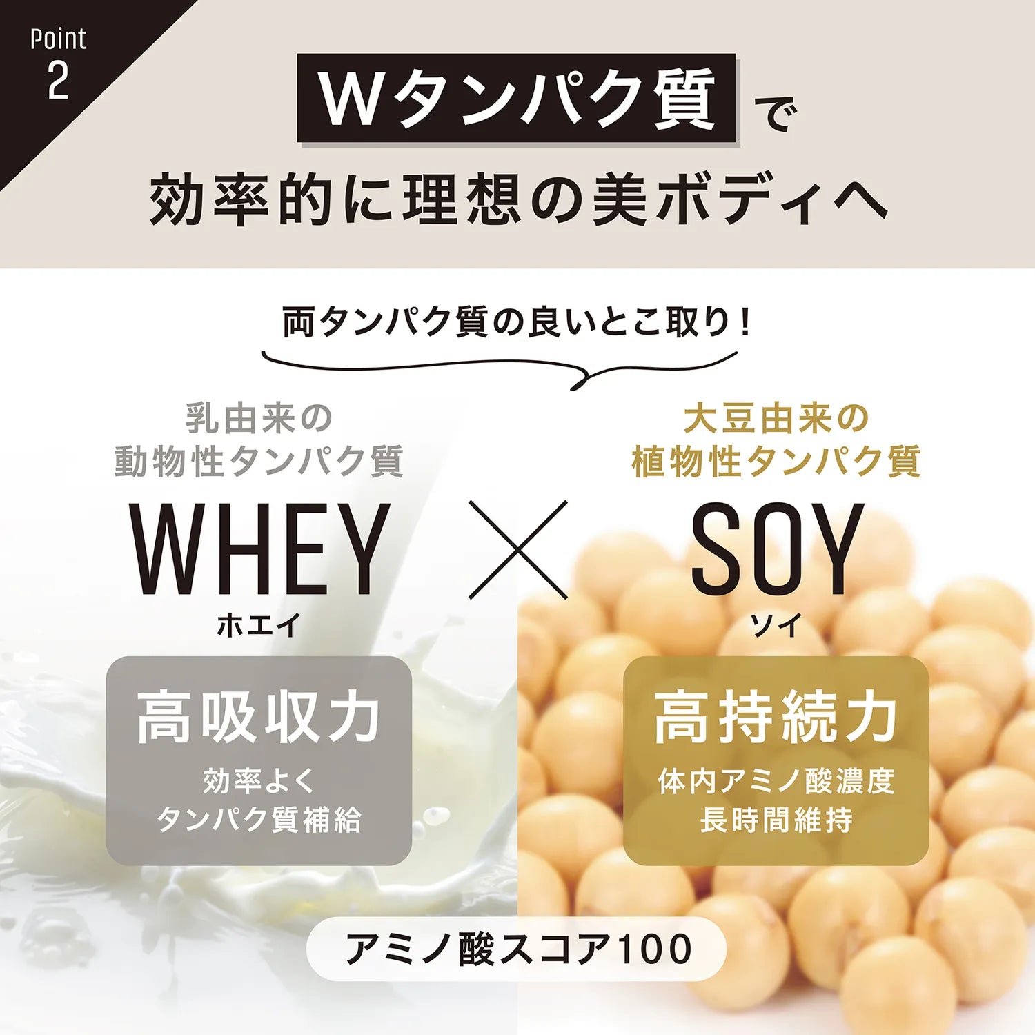 Wタンパク質で効率的に理想の美ボディへ