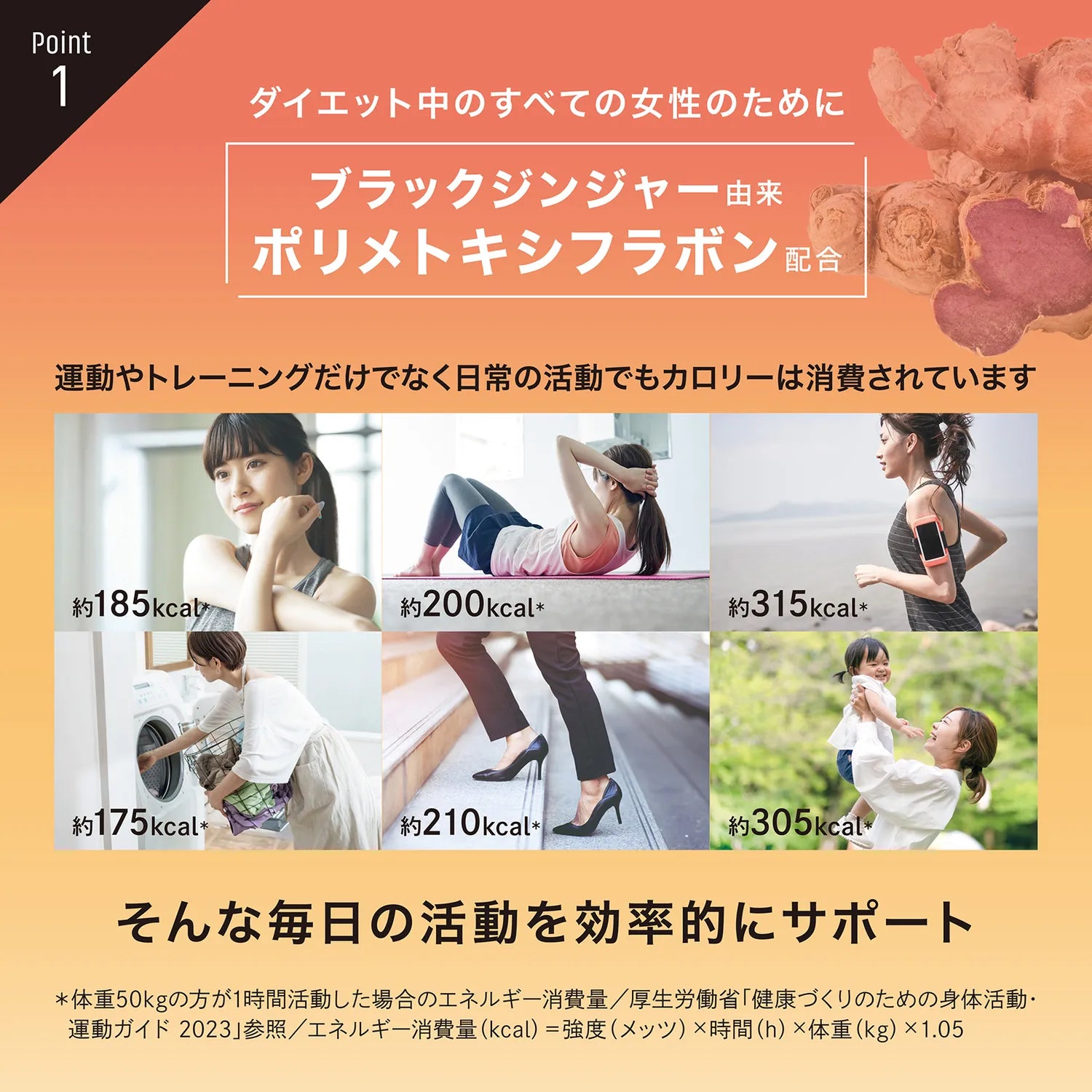 ブラックジンジャー由来 ポリメトキシフラボン配合