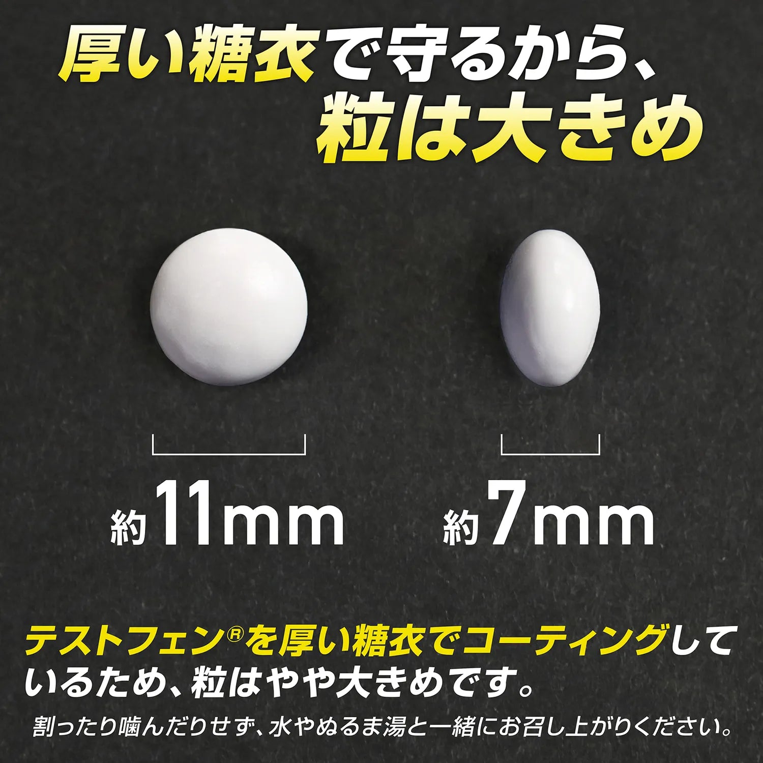 テストフェンタブレット 120粒は、テストフェン®を厚い糖衣でコーティングしているため粒はやや大きめです。割ったり噛んだりせず、水やぬるま湯と一緒にお召し上がりください