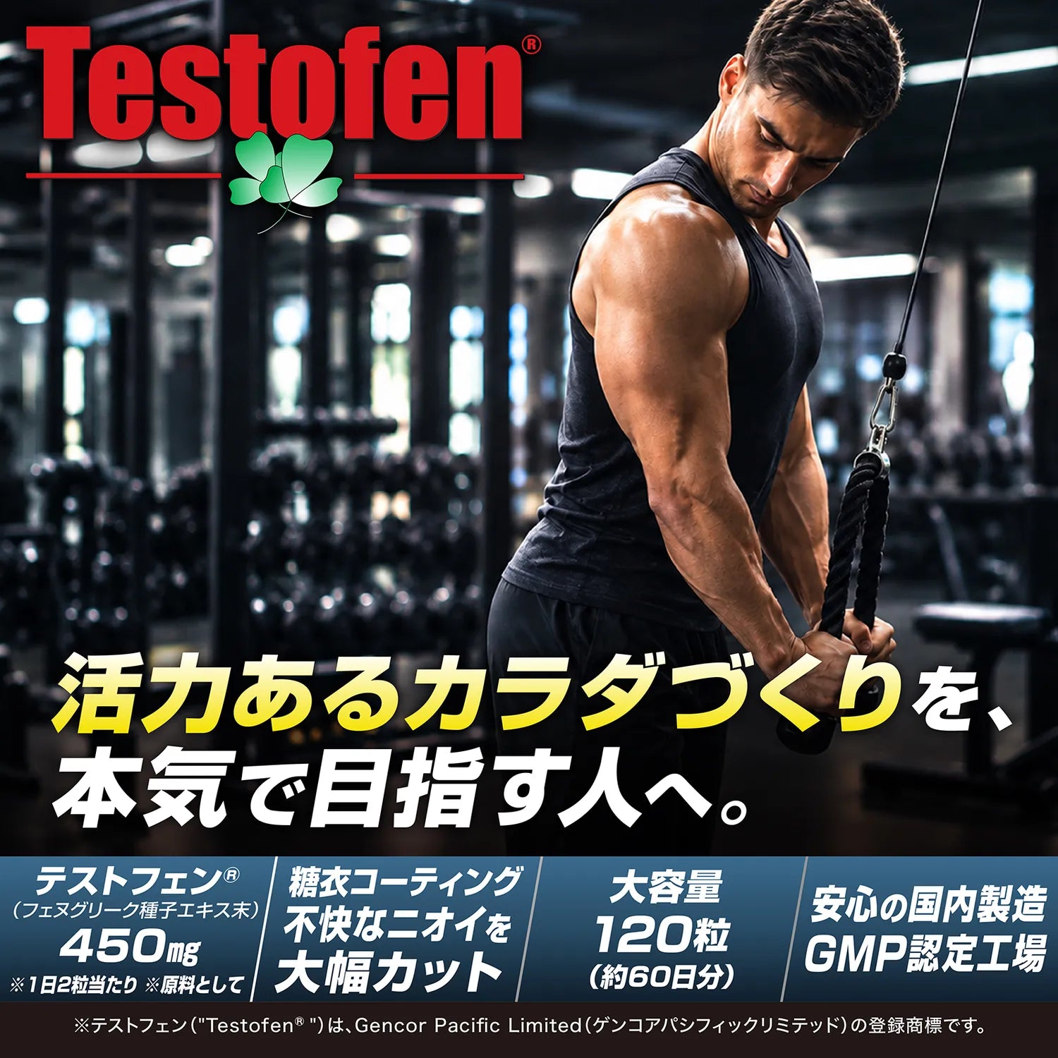 テストフェンタブレット 120粒は、活力あるカラダづくりを本気で目指す人へ向けて、テストフェン450mg配合・ニオイを抑える糖衣コーティング・約60日分の大容量・国内GMP認定工場製造を訴求しています